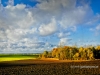 Automne2012-Ramillies-Campagne